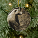 Search for grizzly bear christmas tree decorations Wildlife