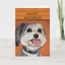 Search for havanese dog cards Pets