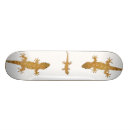 Search for gecko skateboards Nature
