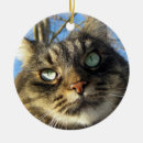 Search for maine coon cat christmas tree decorations Kitty
