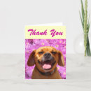 Search for puggle postcards Pugs