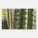 Search for cactus stickers Spiky