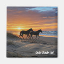 Search for outer banks magnets Seashore