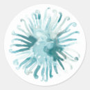 Search for sea urchin stickers Blue