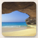 Search for escape barware Tropical