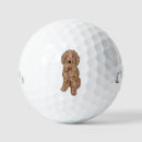 Search for doodle golf balls Dog