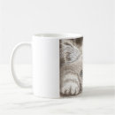 Search for himalayan mugs Kitten