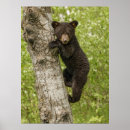 Search for adam jones posters Superstock