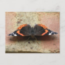 Search for admiring postcards Animals