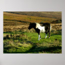 Search for dartmoor posters Landscape