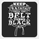 Search for aikido stickers Taekwondo