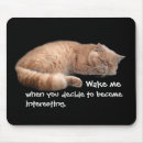 Search for funny cat quotes mousepads Cats