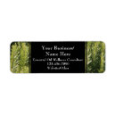 Search for herbal return address labels Botanical