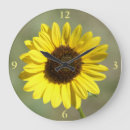 Search for sunflower yellow clocks Floral photography