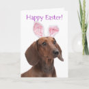 Search for dachshund easter cards Cute