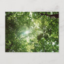 Search for angling postcards Leaf