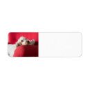Search for dog valentine return address labels Pet
