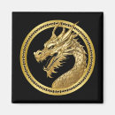 Search for new years magnets Dragon