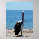 Search for pelican art Funny