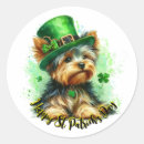 Search for irish terrier stickers Ireland