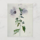 Search for ann cards invites Botanical