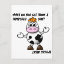 Search for funny cow jokes postcards Cute