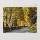 Search for larch tree postcards Landscape