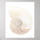 Search for protective shell posters Animal