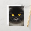 Search for kitty face postcards Pet