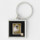 Search for ahead accessories I can has cheezburger