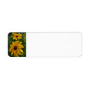 Search for black eyed susan return address labels Nature
