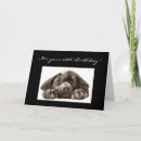 Search for funny 69th birthday cards Dog