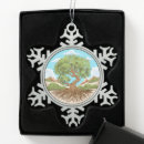 Search for olive christmas tree decorations Nature