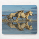 Search for wild stallion mousepads Camargue
