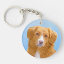 Search for nova scotia key rings Dog
