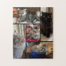 Search for persian puzzles Pet