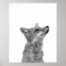 Search for monochromatic posters Mountain