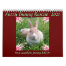 Search for bunny calendars Pets