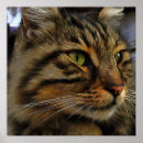 Search for long haired cat art Pet