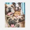 Search for cute cat photo blankets Funny