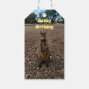 Search for enclosure photography Funny