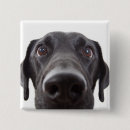 Search for closeup badges Animal