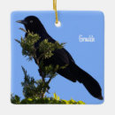 Search for birdwatcher christmas tree decorations Birds
