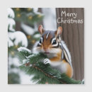 Search for chipmunks christmas cards Wildlife