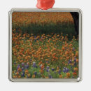 Search for texas bluebonnet christmas tree decorations Wildflower