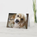 Search for recognition cards Friend