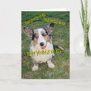 Search for fun aunt postcards Dog