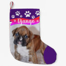 Search for dog breed christmas stockings For pets