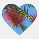 Search for australian flower stickers Floral