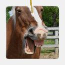 Search for laugh christmas tree decorations Animals